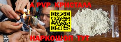 ешки Бийск